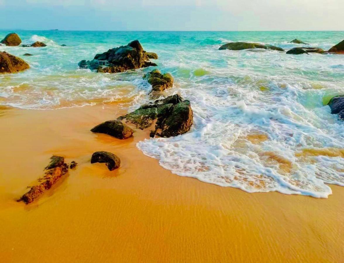 Nilupul Ambalangoda (Galle)